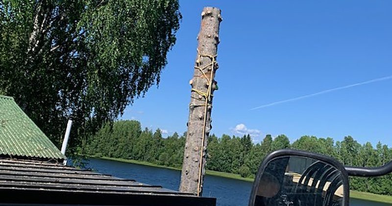 Sektionsfälld stam intill hus i Luleå