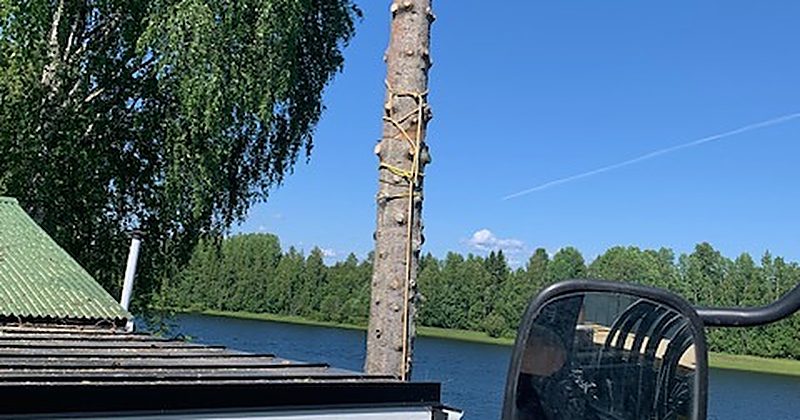 Avkvistad stam redo för nedtagning i Luleå